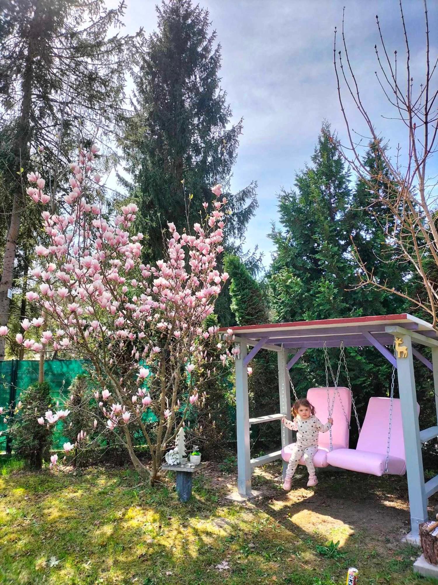 Domki Radawa Na Kliszowce Exterior foto